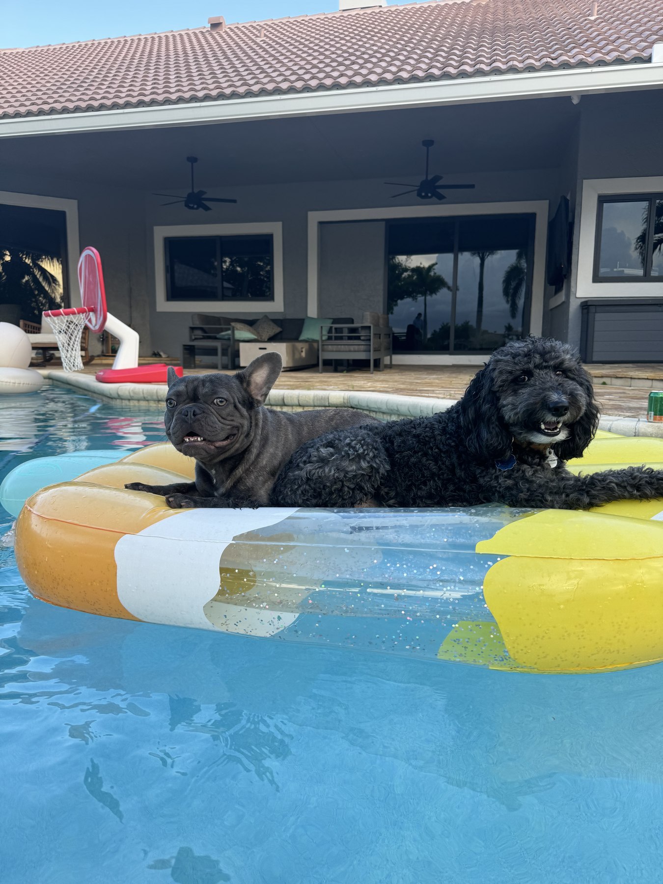 Bernie and Murray sharing a pool float