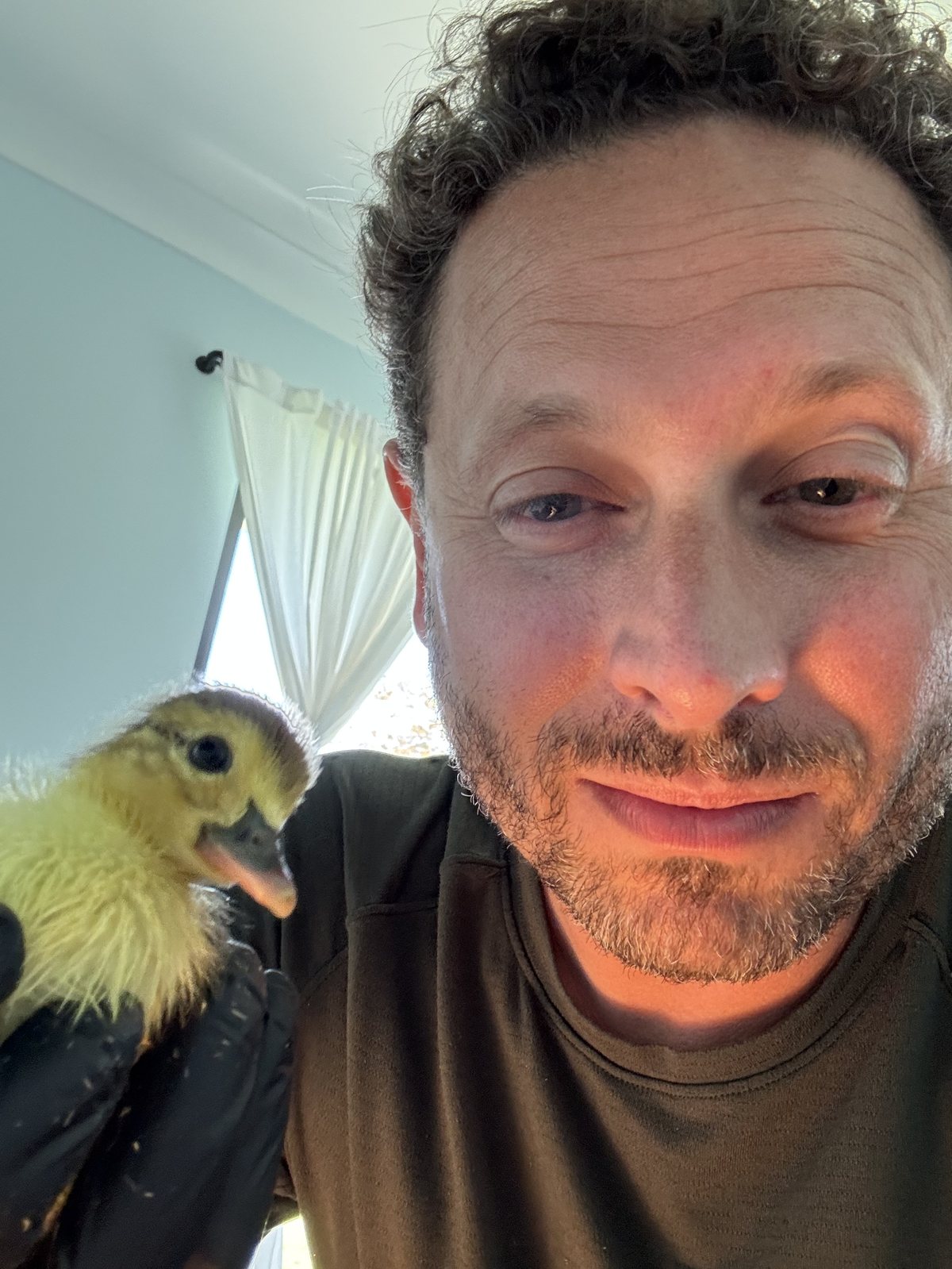 Holding one of the newly hatched ducklings