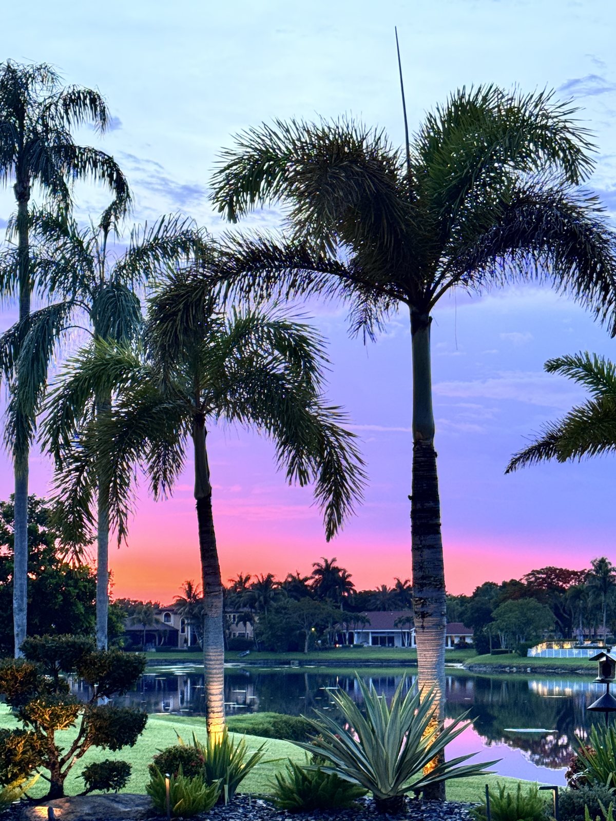 Sunset over the lake in the backyard