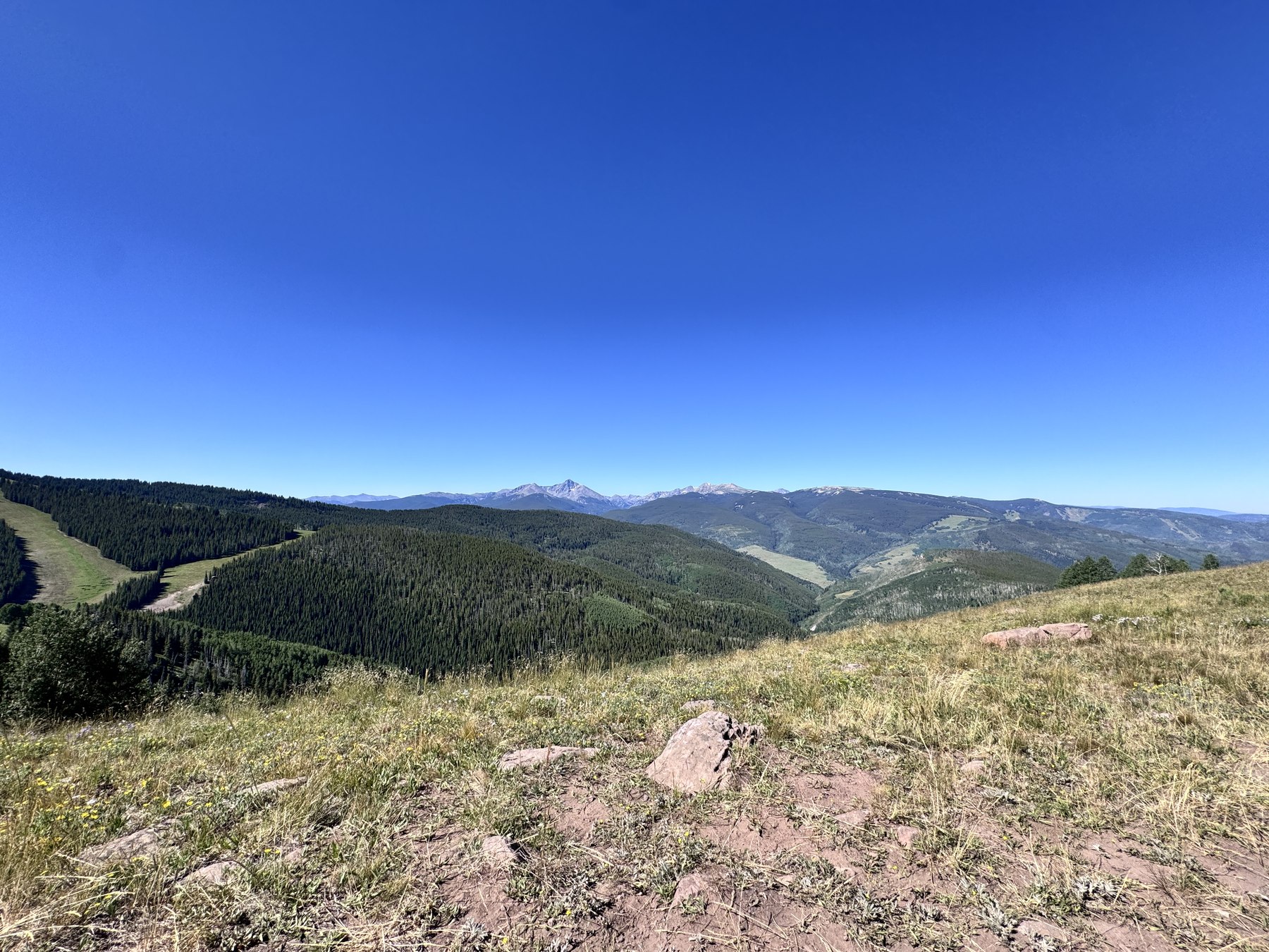 Mountain vista above Vail