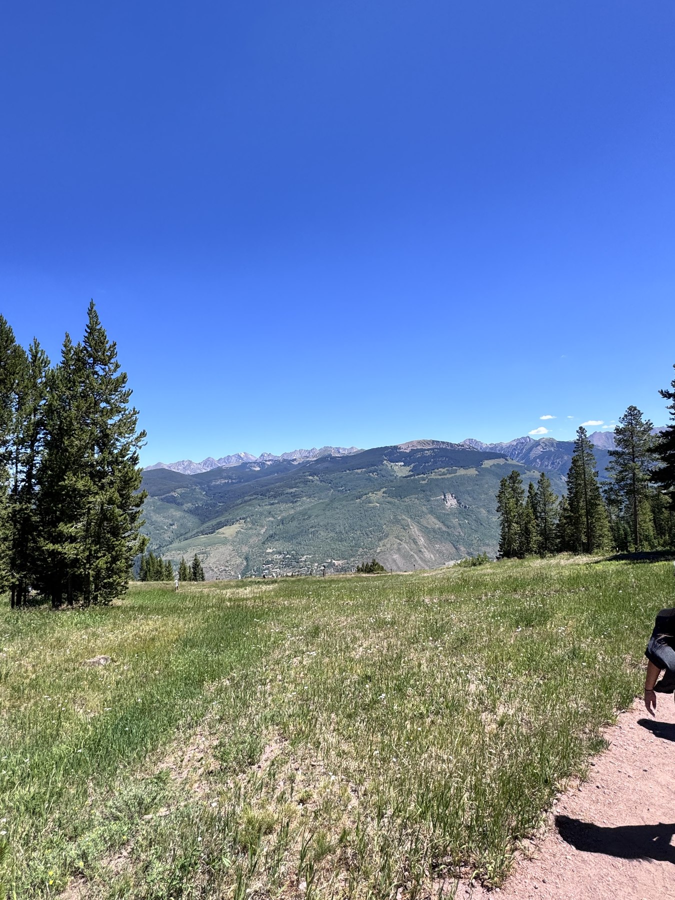 Summit meadow above Vail