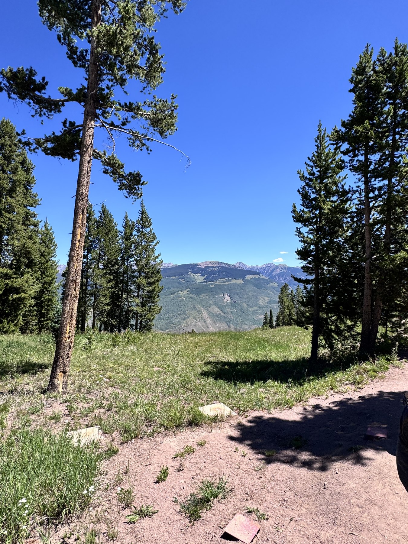 Summit meadow above Vail, second view